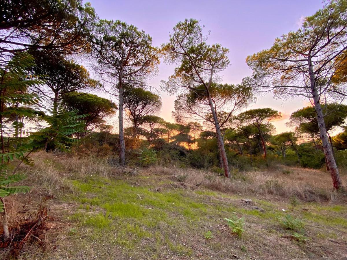 Апартаменты All'Ombra Dei Pini - Casa Vacanze Pet Friendly Marina di Sorso Экстерьер фото