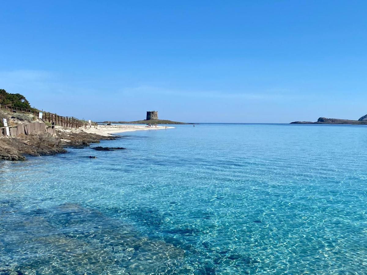 Апартаменты All'Ombra Dei Pini - Casa Vacanze Pet Friendly Marina di Sorso Экстерьер фото